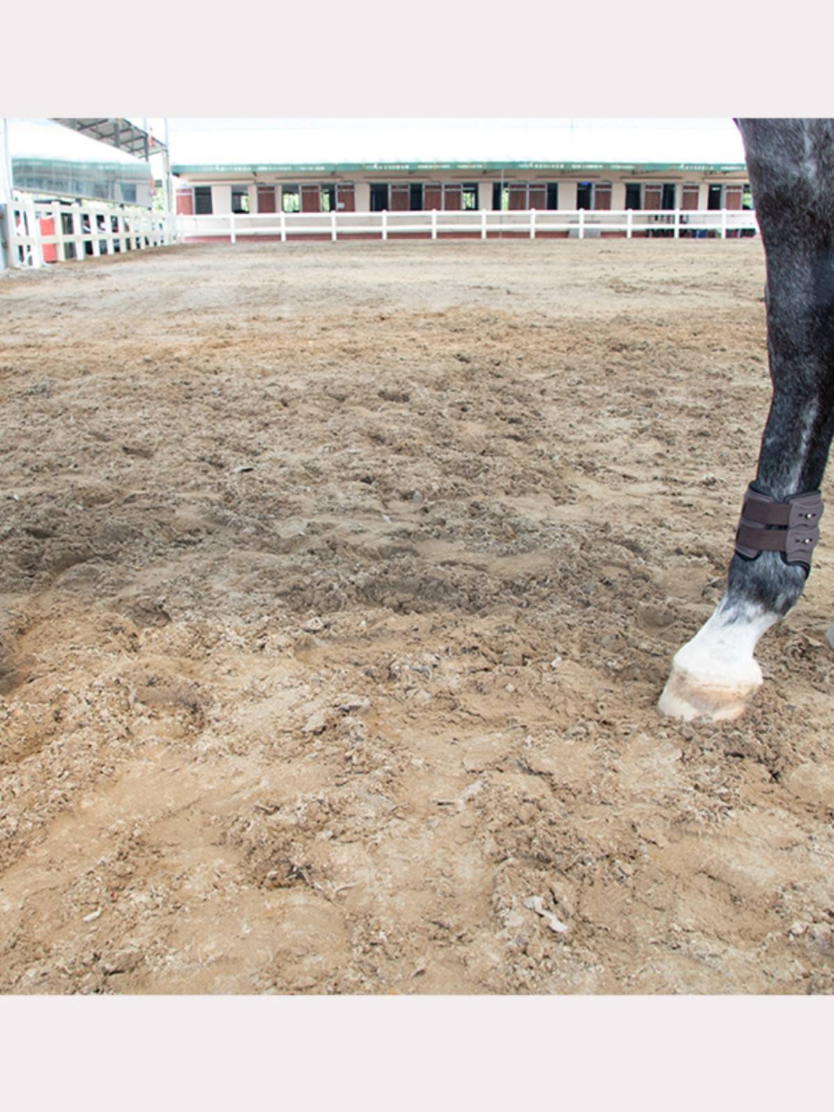 Epona's legs and horse -legged horses and horses protecting horse legs Equipment Equipment Movement