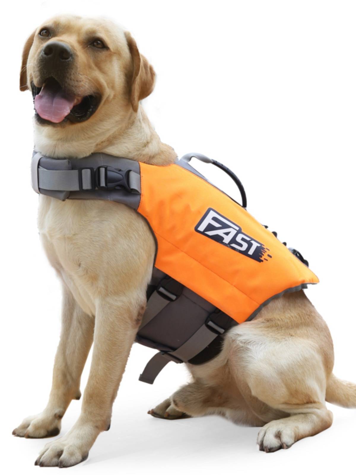 Summer dog swimming life jacket large dog adjustment swimwear anti -light vest pet swimming supplies