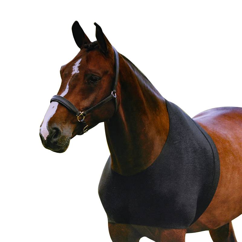 cavassion horse shoulder -care horses equipped with horse vest Rocky horse horses 8216075
