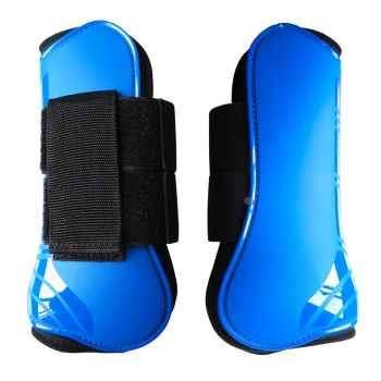 Blue front leg two