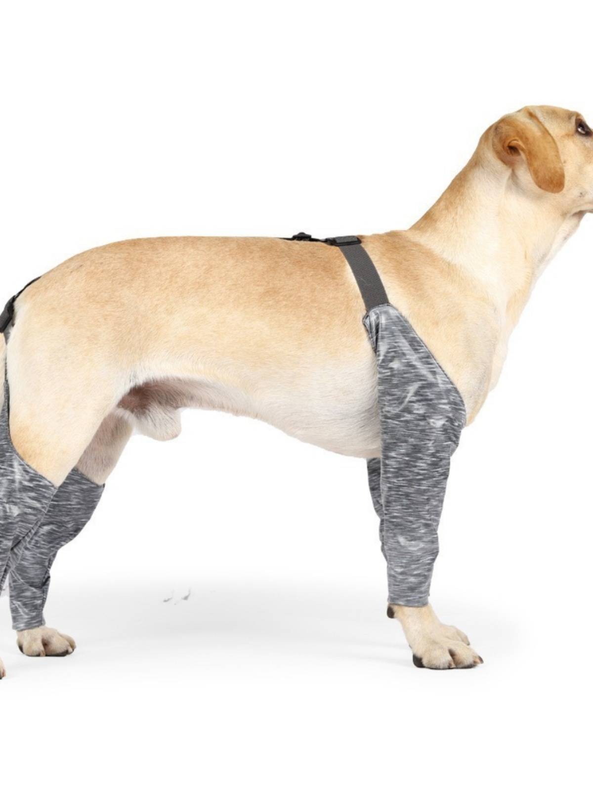 New dog pants pants pet dog products protective legs and dogs outdoor outdoor four -legged pants cover anti -dirt -proof leg universal