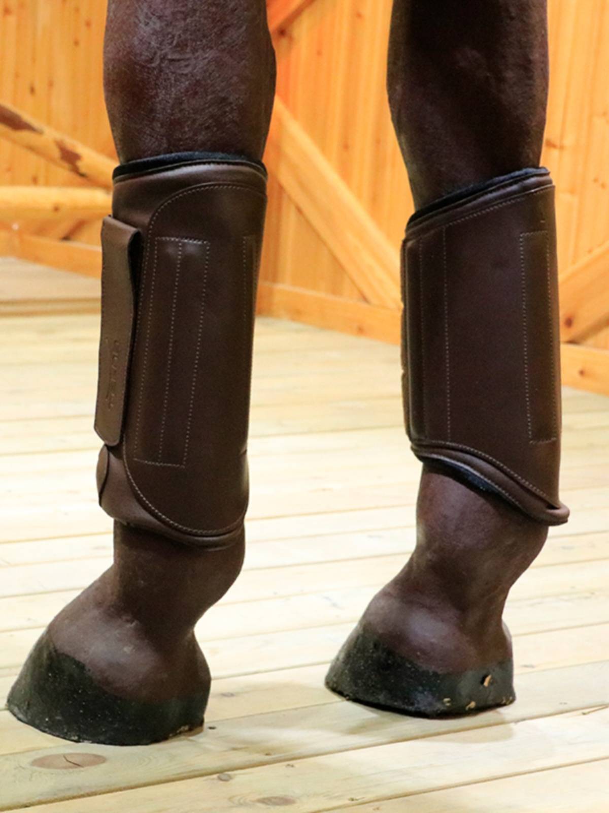 Tekna off -road front -legged horse -legged legs to protect the horse leg equestrian motion with leg protection