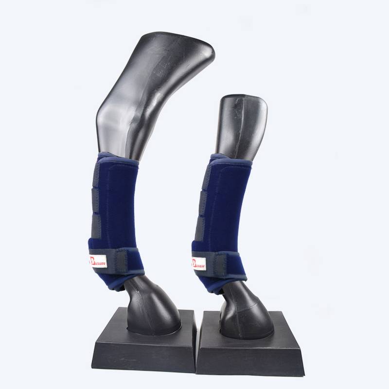 The horse's leg-resisting leg-resisting horse's leg-protector's leg-smuggled horse's leg-smuggled leg-smuggled horse's leg-protecting horse's leg against collision