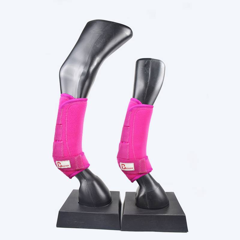 The horse's leg-resisting leg-resisting horse's leg-protector's leg-smuggled horse's leg-smuggled leg-smuggled horse's leg-protecting horse's leg against collision