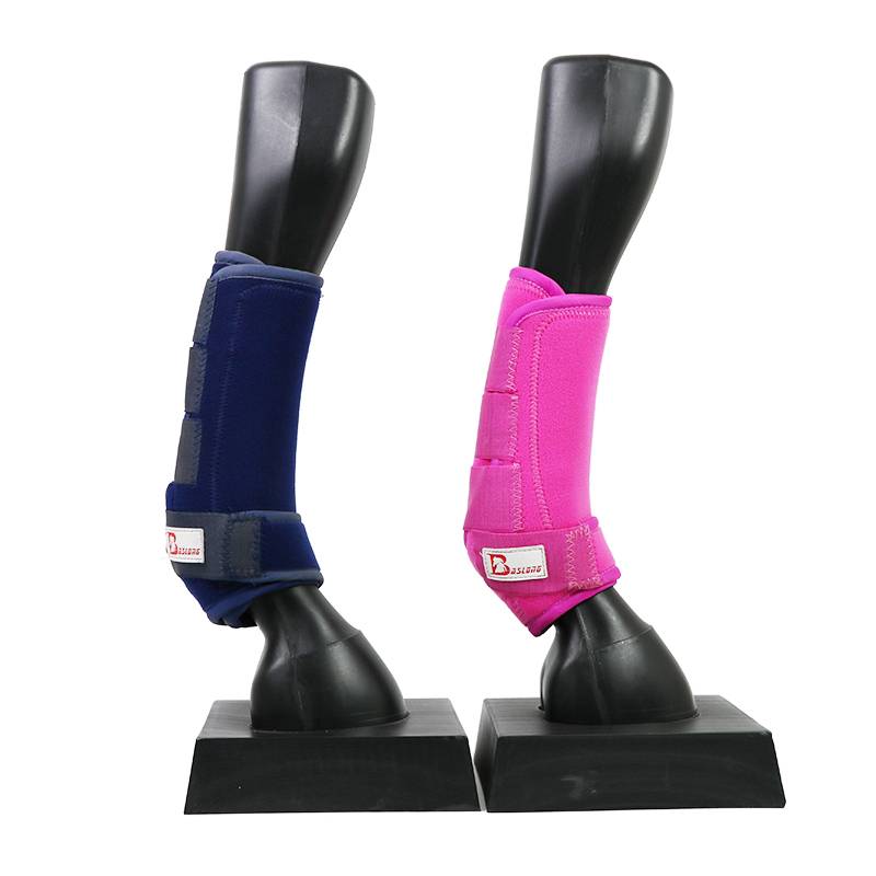 The horse's leg-resisting leg-resisting horse's leg-protector's leg-smuggled horse's leg-smuggled leg-smuggled horse's leg-protecting horse's leg against collision