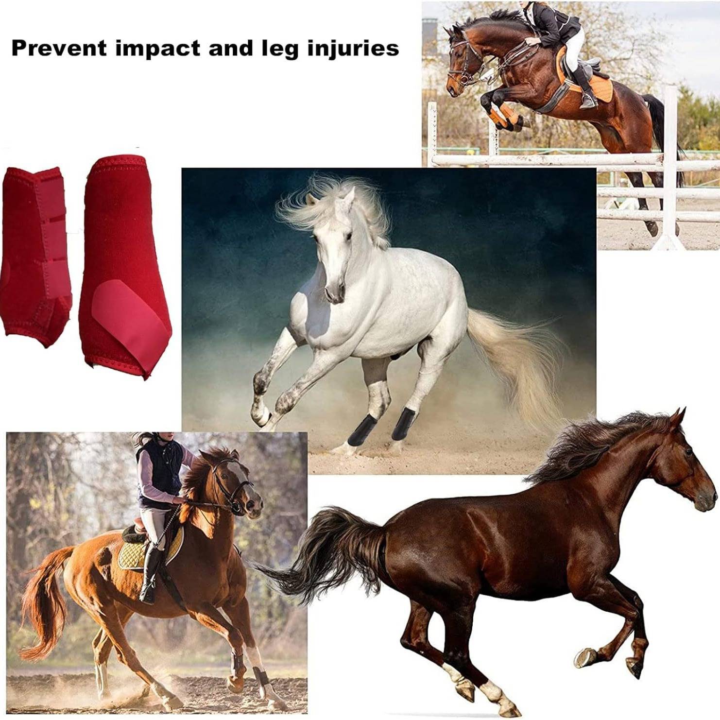 Horse protection