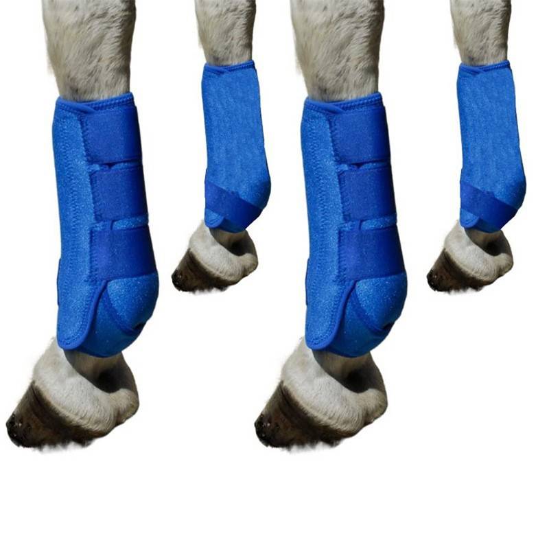 Horse protection