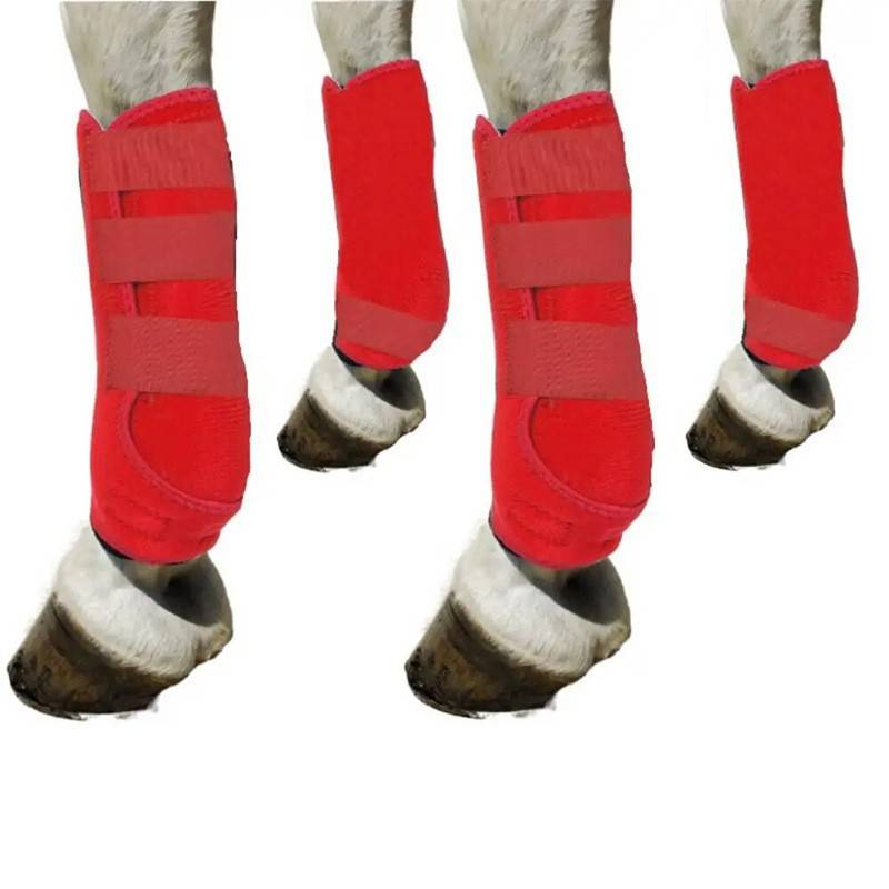 Horse protection