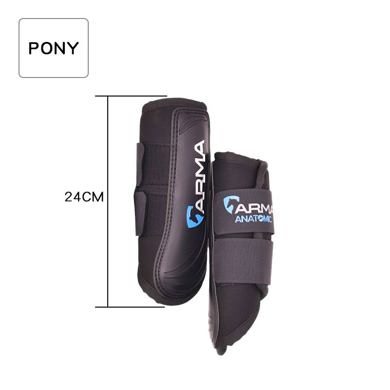 BLACK PONY