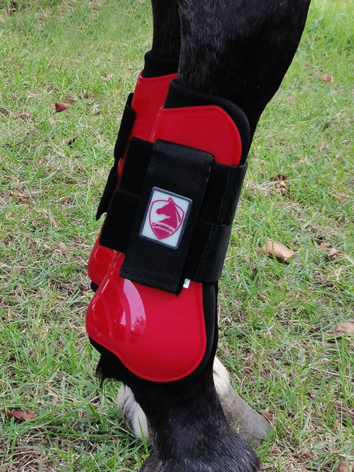 Cavassion barrier horse -legged horse -legged legs with four -legged Rocks Horse 8216117