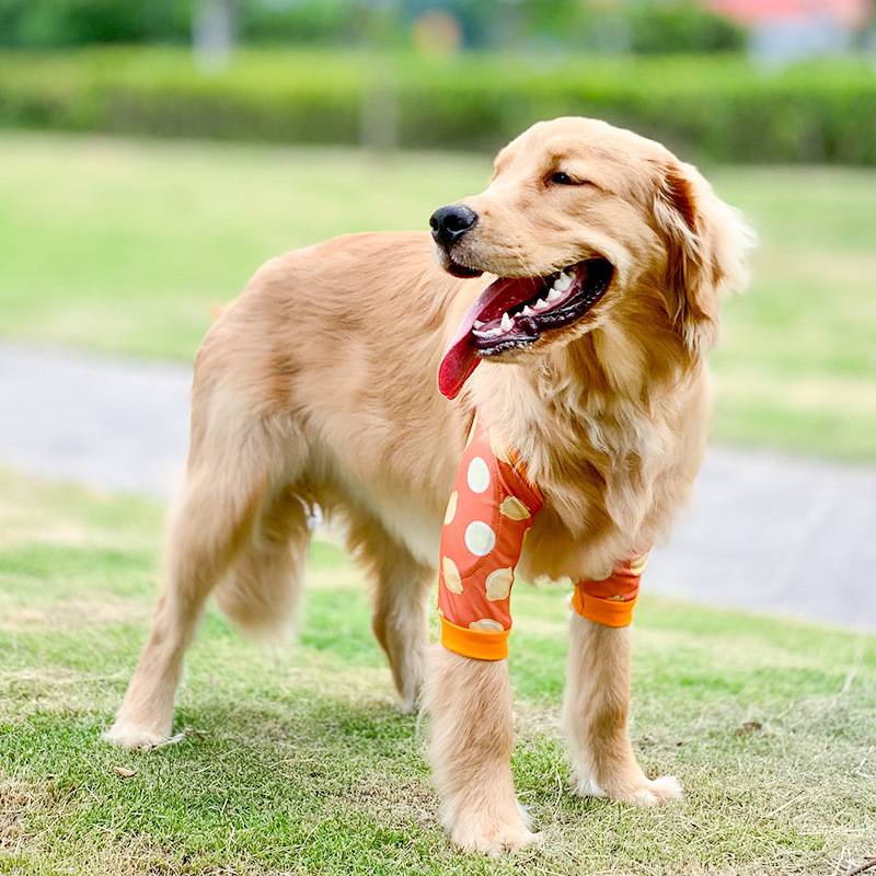 Dog's knee pad foot and legs, shepherd, Mesohamine medium large dog sleeve cotton, elbow, outdoor anti -grinding pet supplies