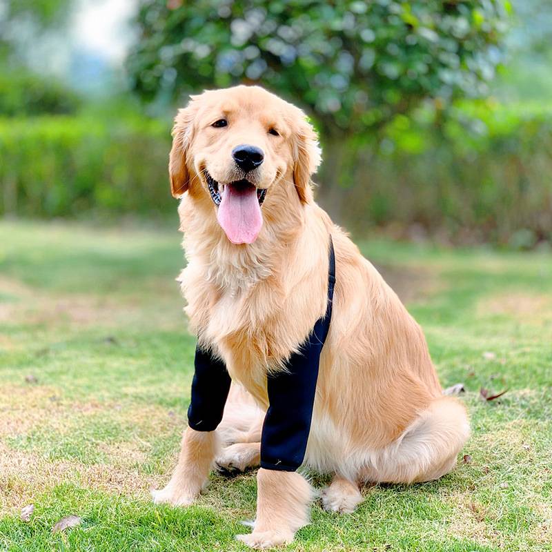 Dog's knee pad foot and legs, shepherd, Mesohamine medium large dog sleeve cotton, elbow, outdoor anti -grinding pet supplies