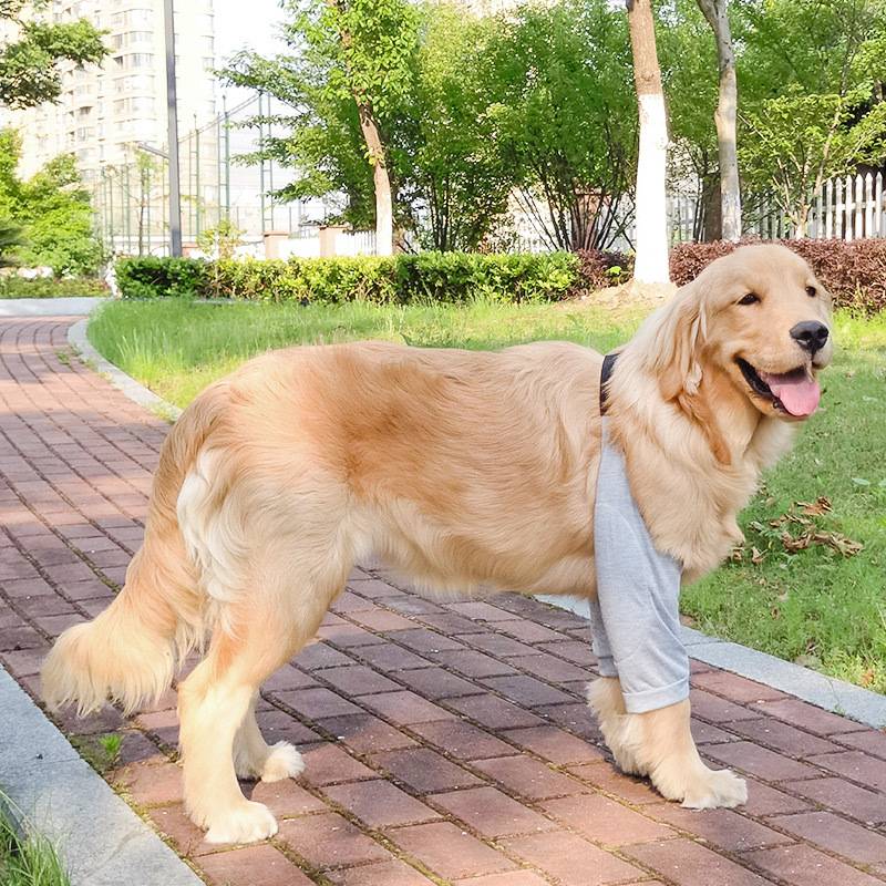 XL CODE (20-40 KG)