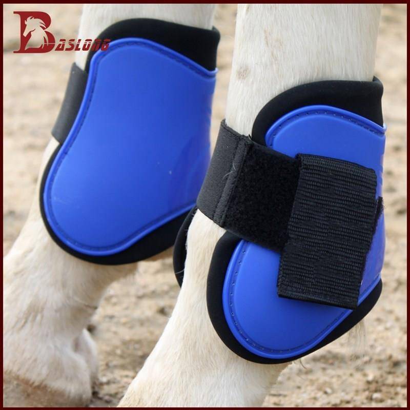High-quality pony for leg protection