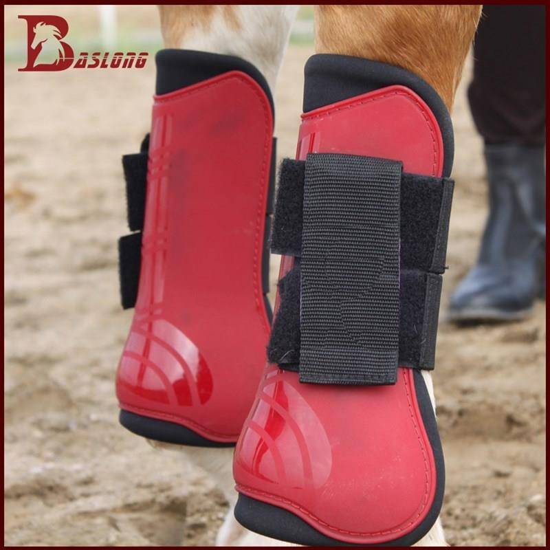 High-quality pony for leg protection