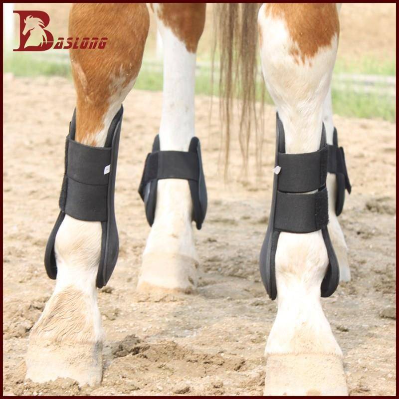 High-quality pony for leg protection