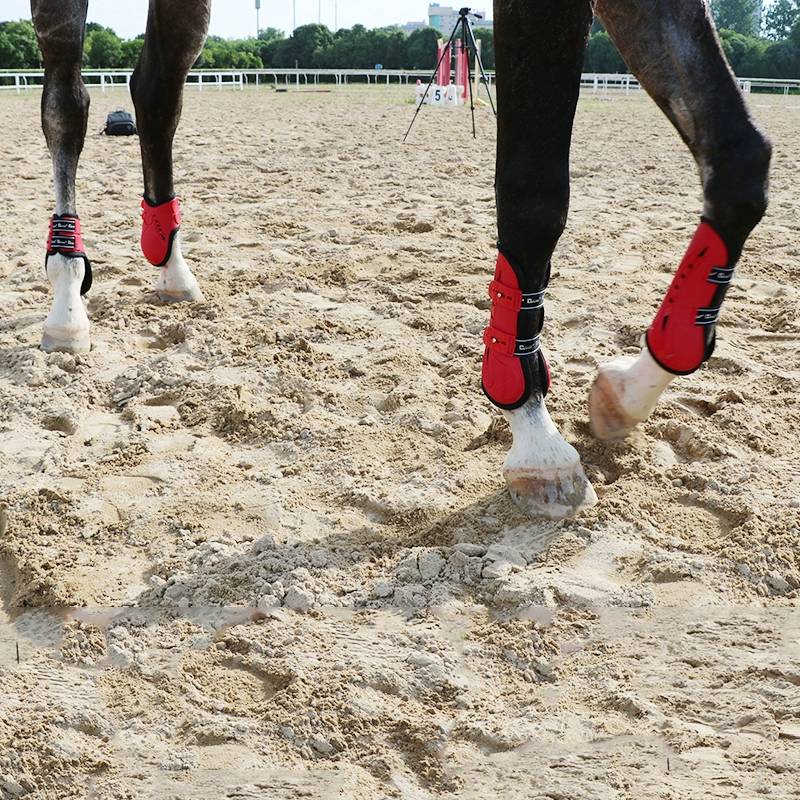 SPECIALIZED IN LEG-TO-LEG AND HORSE-TO-LEG, HORSE-TO-LEG, HORSE-TO-LEG, HORSE-TO-LEG, HORSE-TO-HORSE, EIGHT-FOOT HORSE-TO-HORSE