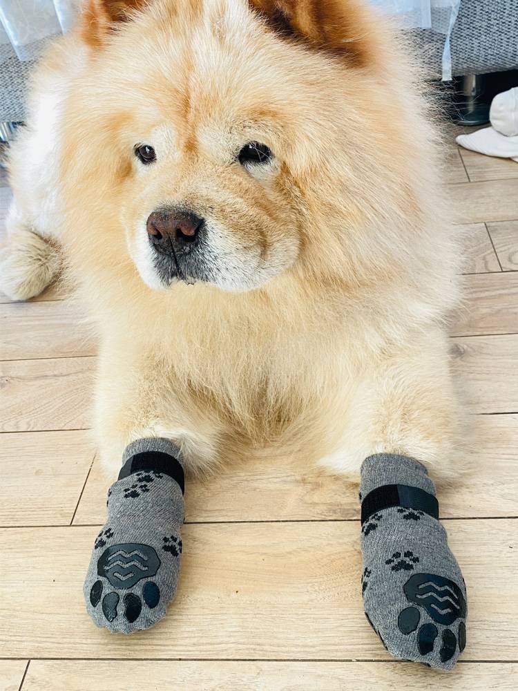 Pet indoor cotton socks 4 installed air -breathable anti -slip anti -sluggish large and medium -sized dog golden wool anti -scraper socks