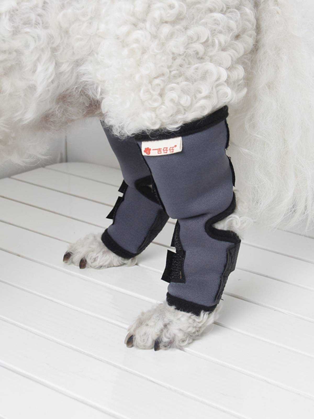 Dog Kneeling Leg, Pet Pet Outdoor Arthritis Golden Retriever Surgery Injury Anti -Licking Activity Activities