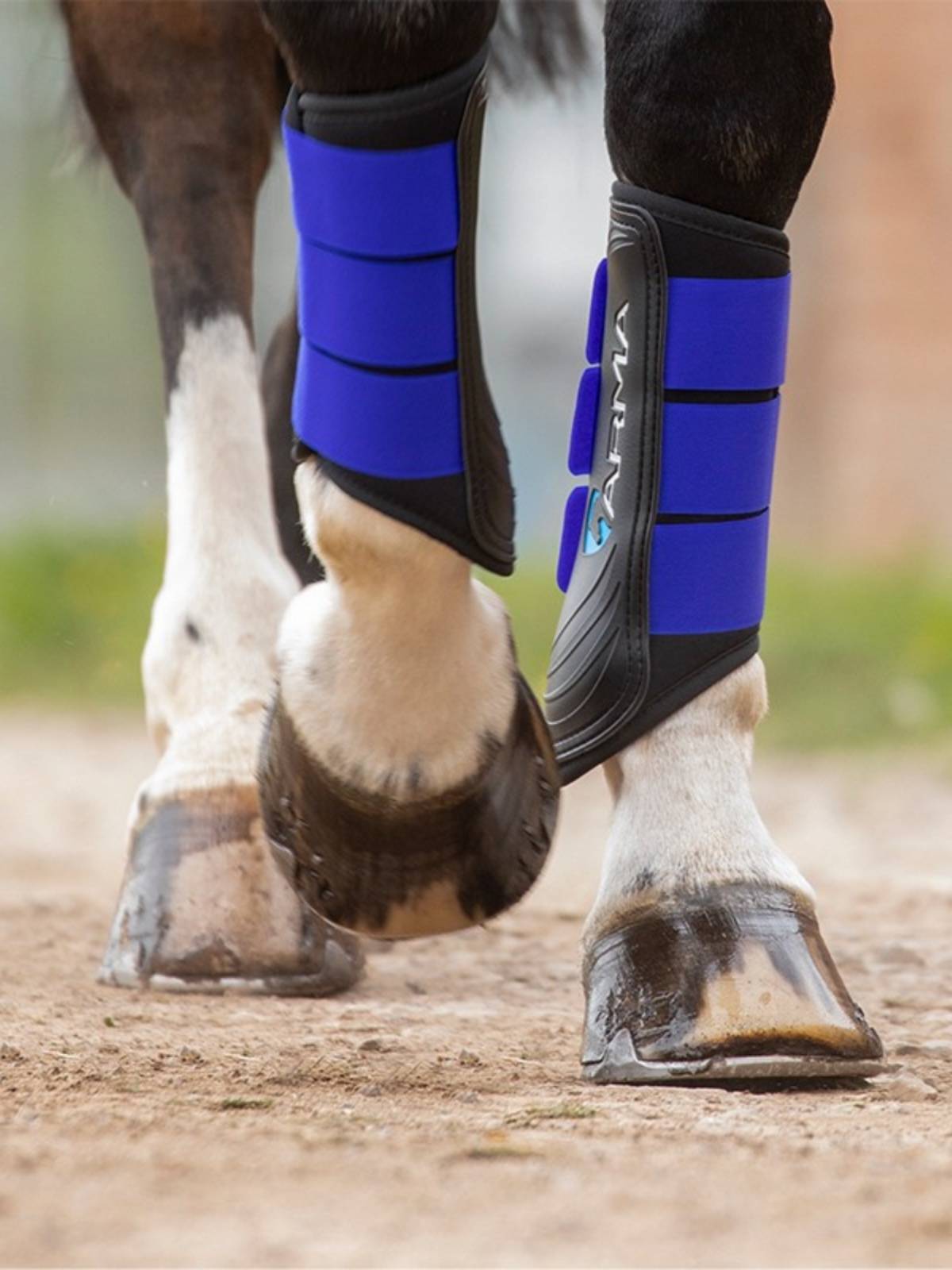ARMA horse -legged front leg two chlorpromes rubber horses tie legs tie equivalent horses horses anti -slip disorders