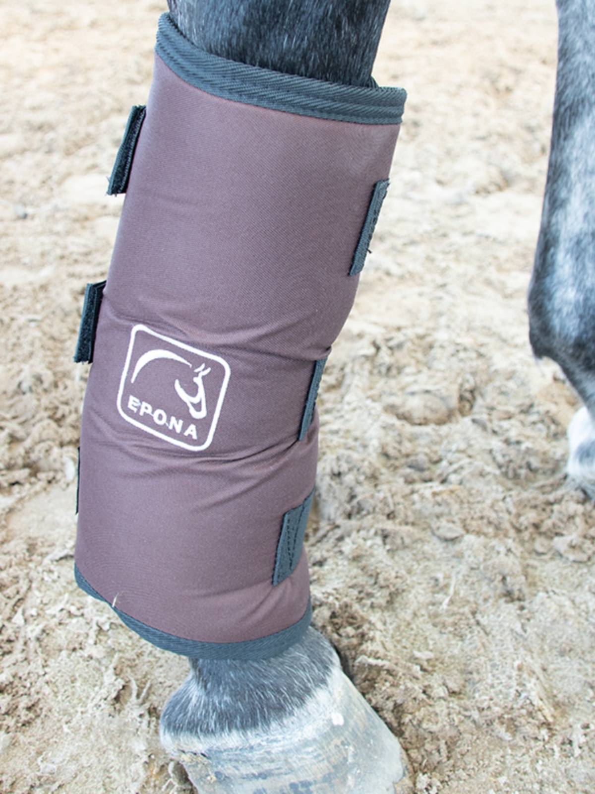 EPONA horsepower horses guard legs, horses, front legs horses hind legs, hinds hindar elements protect the horse legs