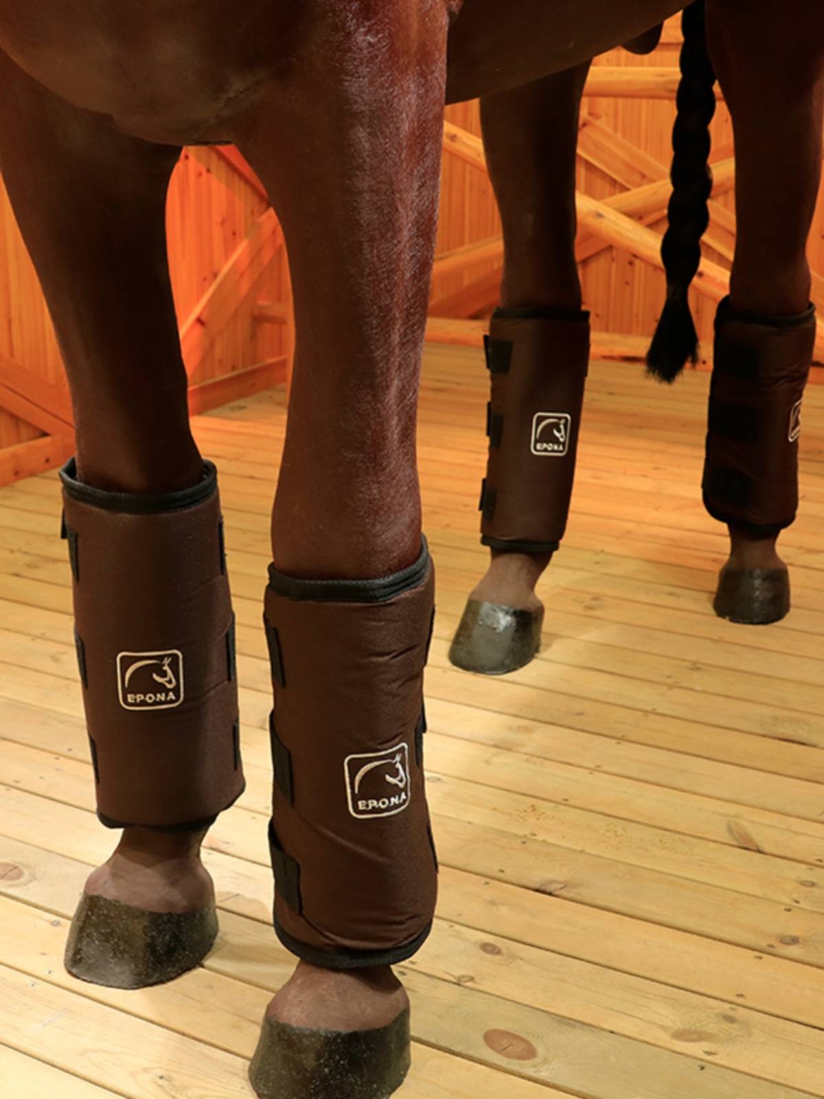 EPONA horsepower horses guard legs, horses, front legs horses hind legs, hinds hindar elements protect the horse legs