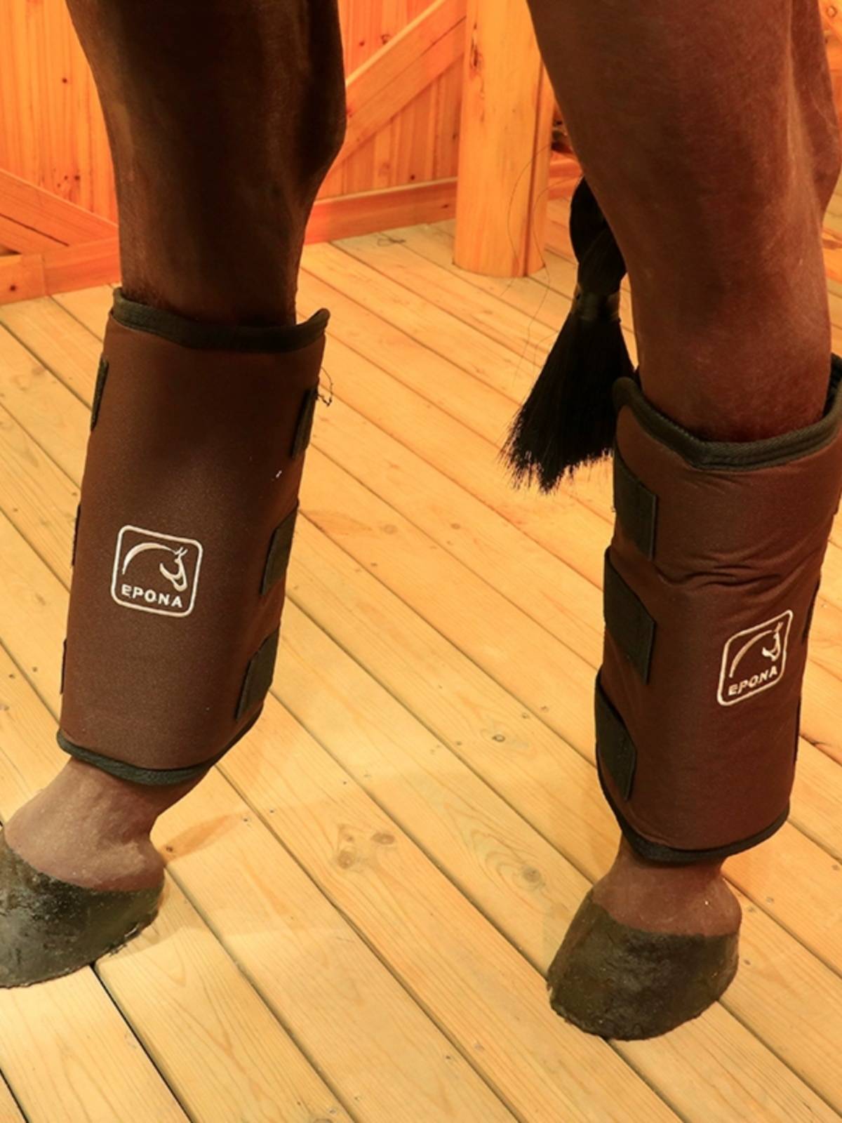 EPONA horsepower horses guard legs, horses, front legs horses hind legs, hinds hindar elements protect the horse legs