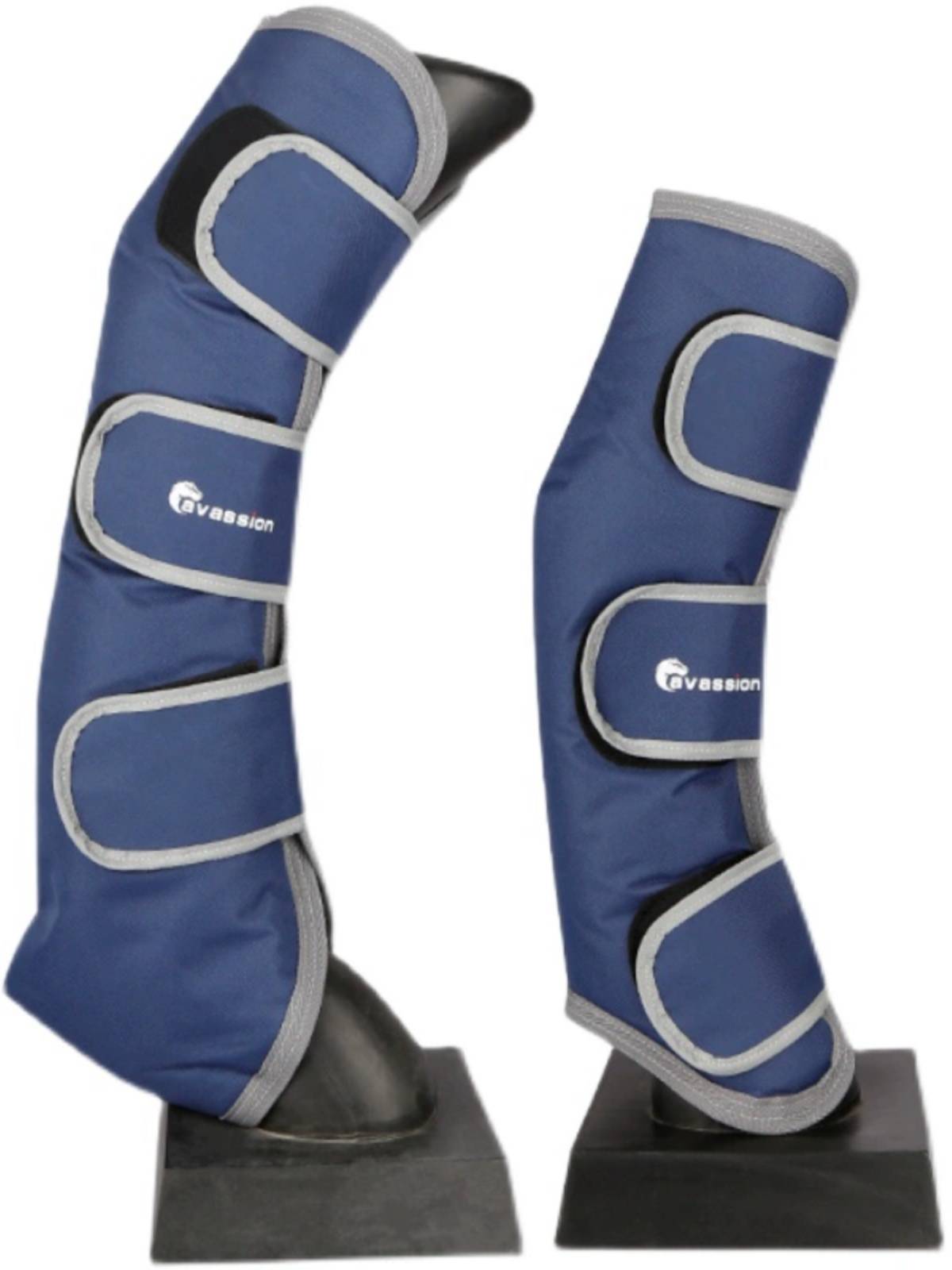 Cavassion horse transport leg protection Rocky Malaysia 8216009