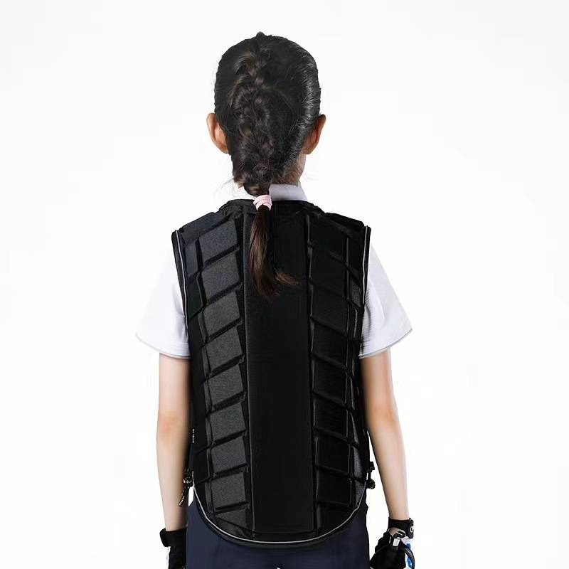 Horses, armor, horseback, safety vests, horse's supplies, 8108014