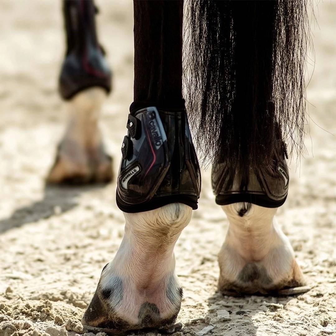 Italian ACAVALLO legs protection legs, legs, legs and legs, legs and legs protection, shock absorption built -in silicone