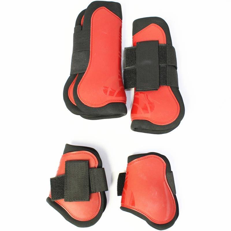 Free leg -legged professional equestrian horses, horses care horses, horses, horses, horses, horses tie legs before and after