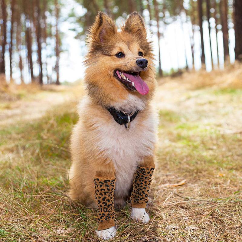 Pet Dog Knee Guarded Laurea and Top Leg Jeweling Case Protective Elbow Sleeve Sleeping Lead Legs Cover Golden Mao Bian Past Dog