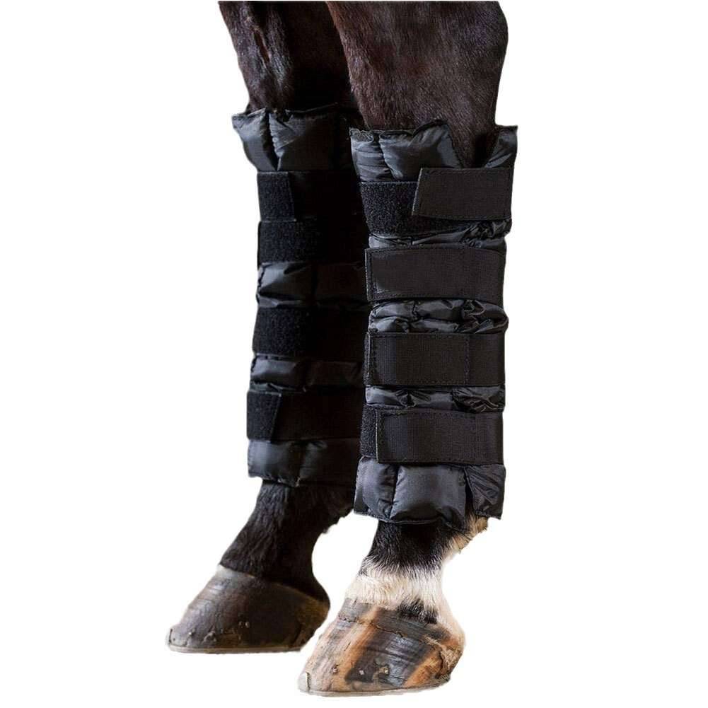 Horses with ice packs of ice packs of ice packs of ice packs of ice packs of ice packs of horse gear and horse veggies