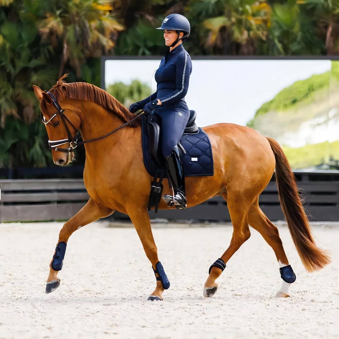 Stockholm Swedish imported professional equestrian barrier -legged horse horses hupral legs protective hoove equestrian equipment