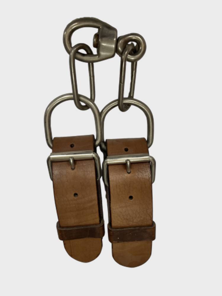 A horse with a tripling oxen and a horse with a leg and horse with a horse with a horse's horse