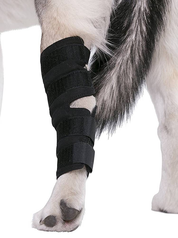 Pet protector, dog and dog outdoor products, hunting dogs, legs, hind legs weak golden hair, leggings assistant