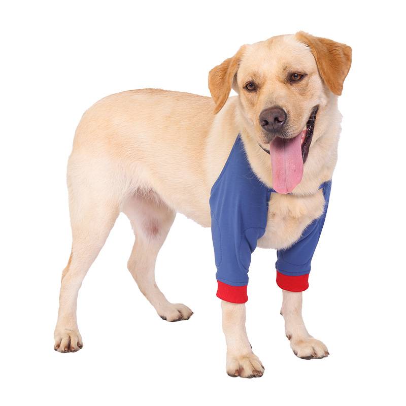Pet front leg protective cover dogs joint knee knee guard warming elbow clothing anti -licking cuff dog elbow wound protective gear