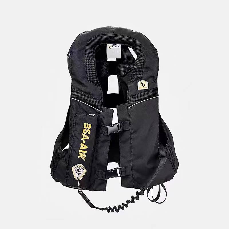 Holy Shield Armor Riding Palace Pattrophone Armor Armacular Armor Wheel Equipment Vest