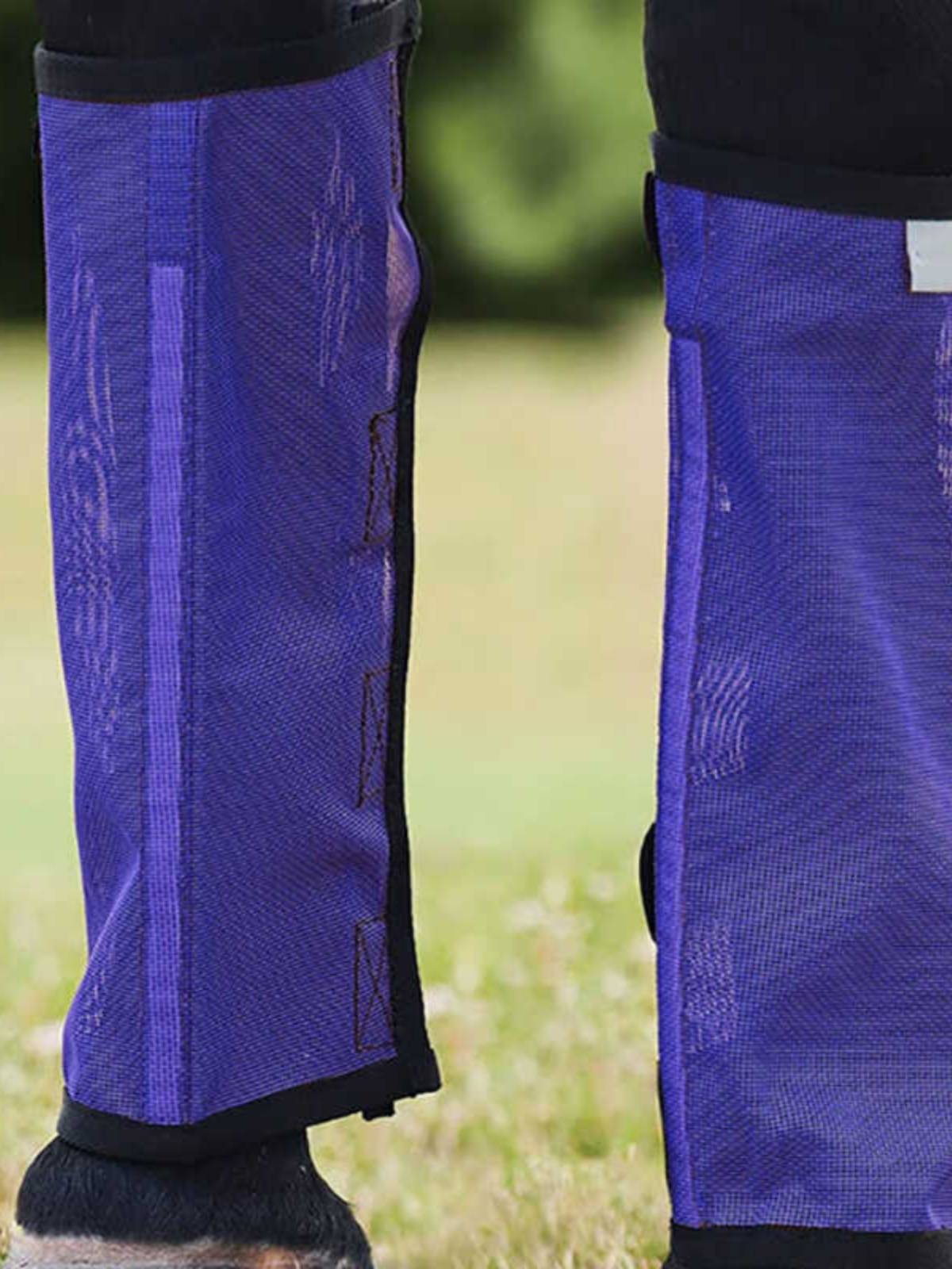 Horseguards, specialty in leg protection, foot protection, mosquito-resistant horse boots, eye-to-eye