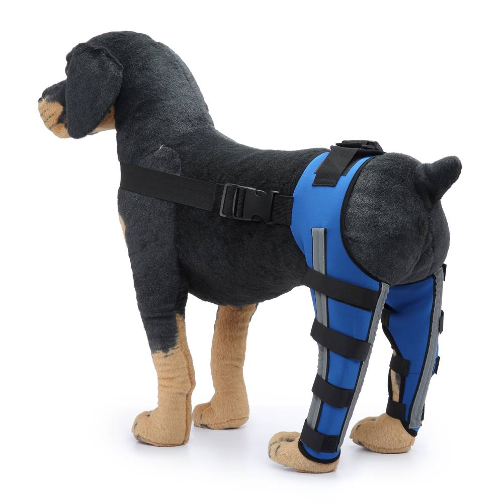 Dog bone dislocation fixing leg protection fracture assist support supporter joint cross ligament bracket
