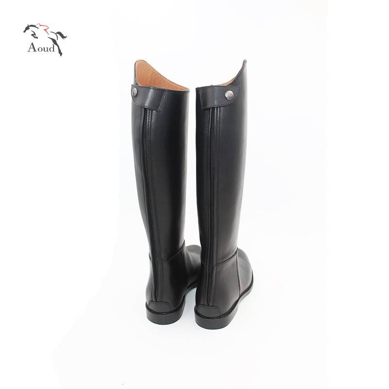A horse-and-cow-skin knight and a horse-shoe-shoe-shoe-shoe-shoe-shoe-shoe-shoe-shoe-shoe-shoe