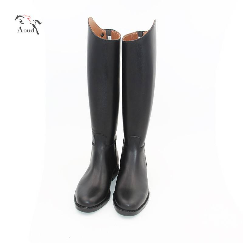 A horse-and-cow-skin knight and a horse-shoe-shoe-shoe-shoe-shoe-shoe-shoe-shoe-shoe-shoe-shoe