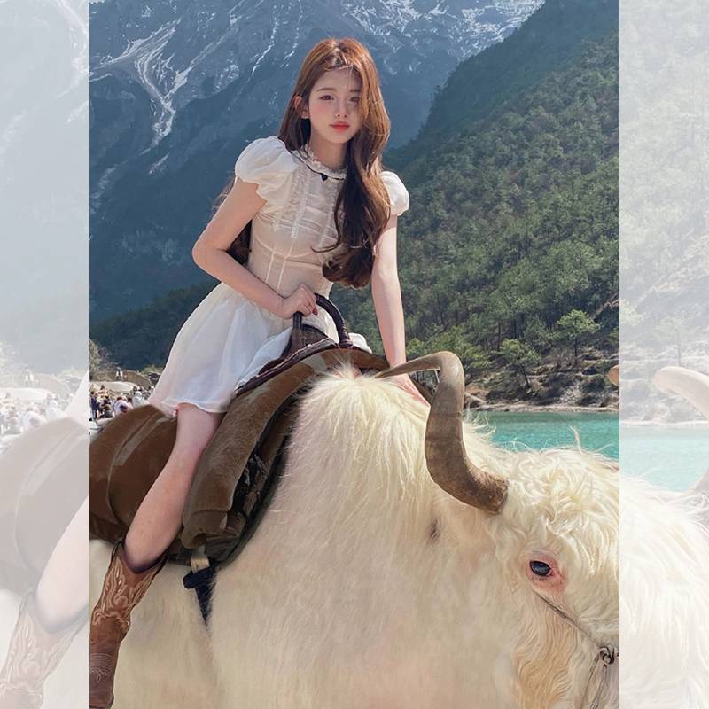 He Sui the same retro western denim boot female 2024 new V -mouth knight boots high boots spring Martin boots