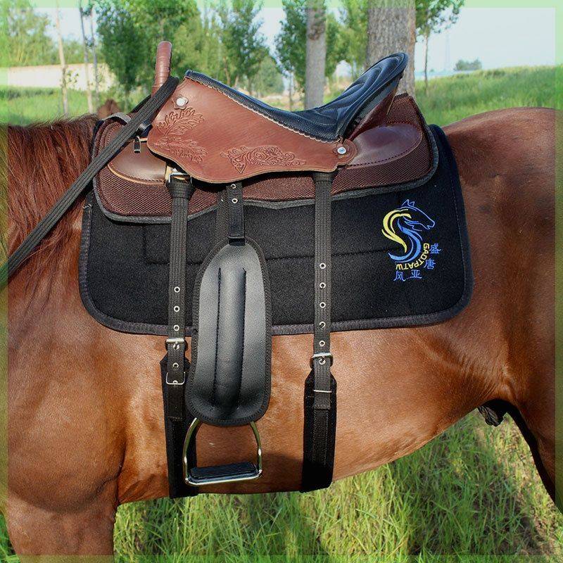 A horse's saddle with horse's gear and a horse's saddle with oxen and a horse's saddle