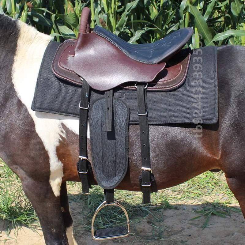 THE NEW SADDLE MAT FXI2764 SADDLES, A HORSE-TO-HORSE HORSE-TO-HORSE-TO-HORSE-TO-SAVE-TO-SAVE
