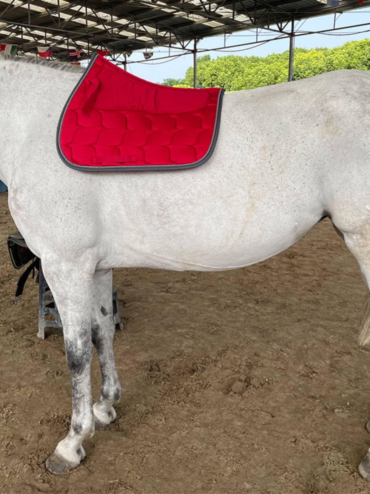 EPONA saddle cushion disorder saddling saddling pad sweat pad sweat absorption shock absorption horse supplies equestrian sports