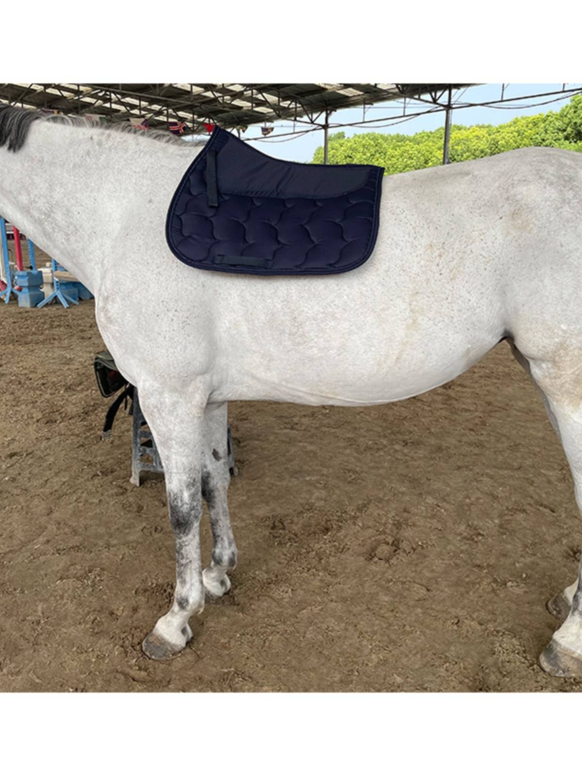 EPONA saddle cushion disorder saddling saddling pad sweat pad sweat absorption shock absorption horse supplies equestrian sports