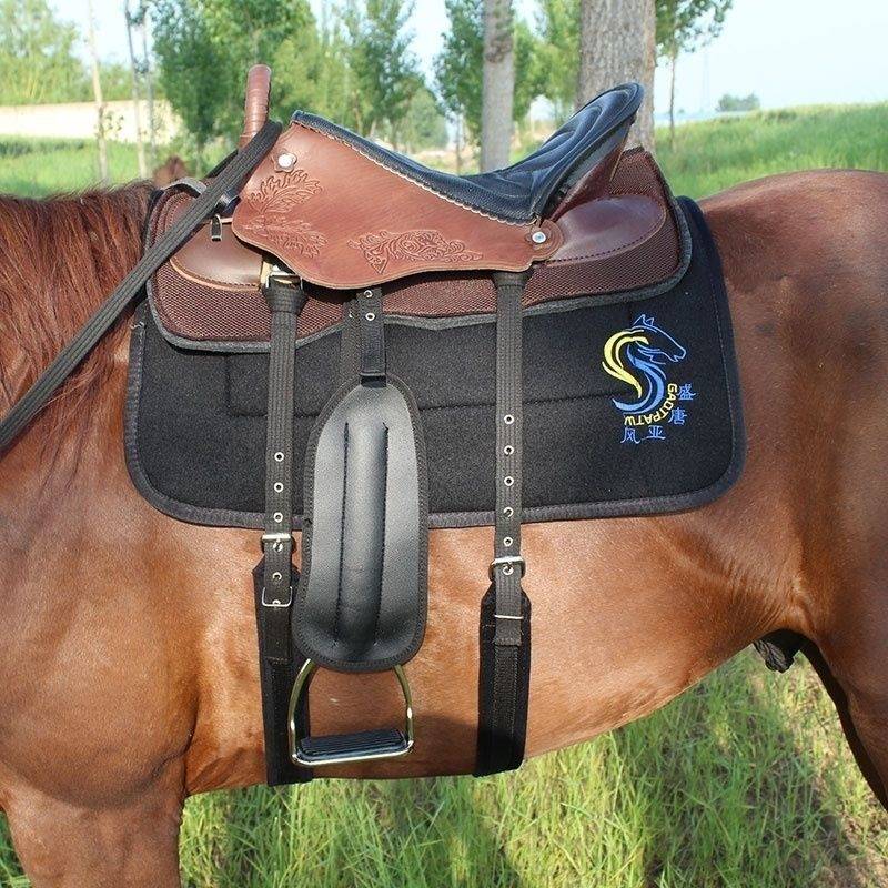 Horses and horse saddles