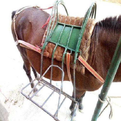 The high-quality saddle-stealing horse-brown-steal-steal-steal-steal-steal-steal-steal-steal-steal-steal-steal-steal-stealing-steal-steal-steal-steal-steal-steal-steal-steal-steal-steal-steves-steve-s-steal-s-steal-s-steal-s-steal-s-stell-steves-s-stell-s-