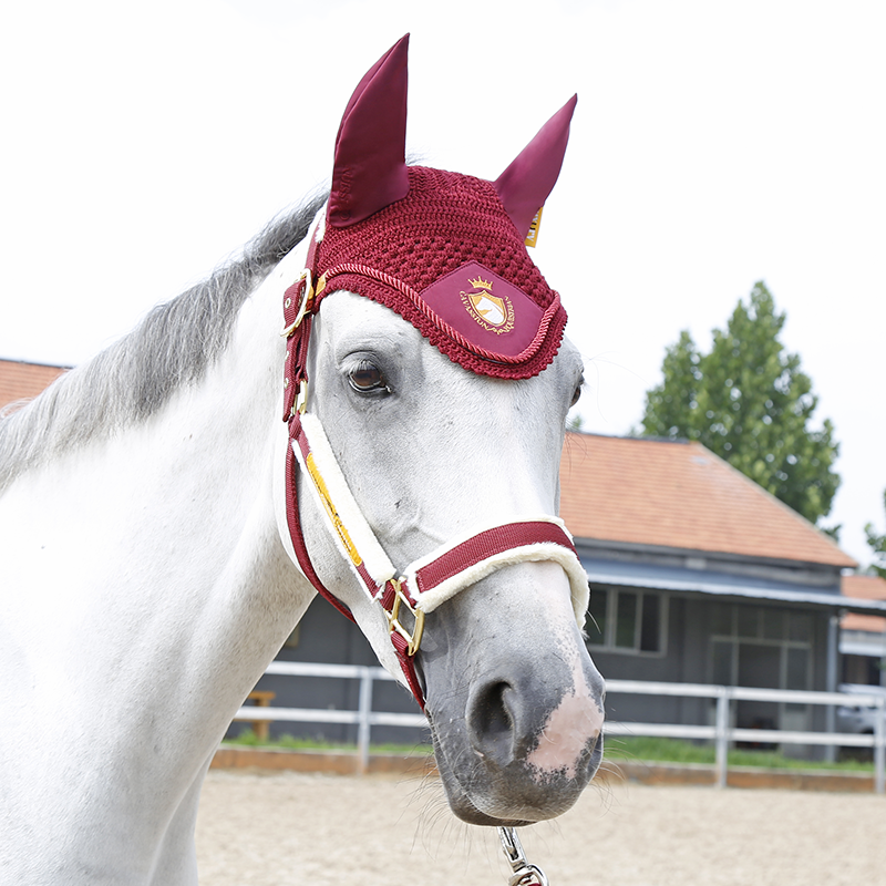Luxury light luxury horses set horses decorative horses horses rope earmuffs tie legged wool pad